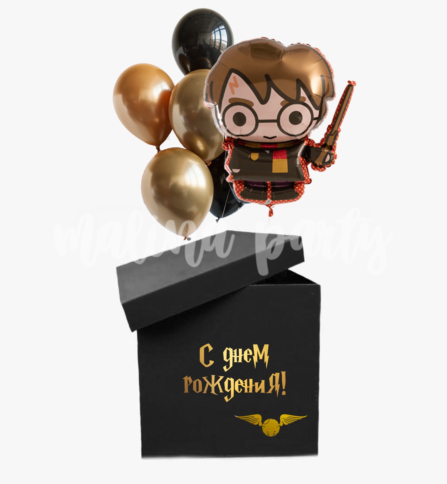 Коробка с воздушными шарами черная Гарри Поттер