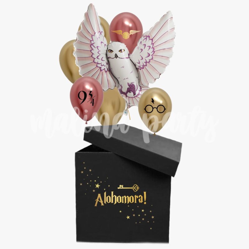 Коробка с шарами Alohomora Гарри Поттер