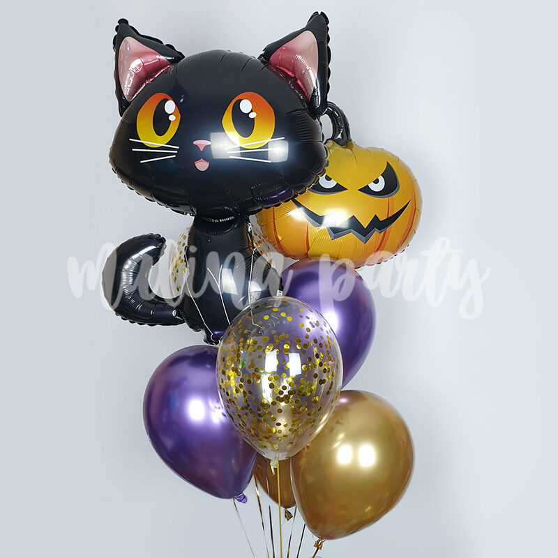 Букет воздушных шаров с гелием Ведьмочка и кот