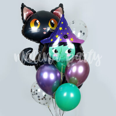Букет воздушных шаров Ведьмочка и кот